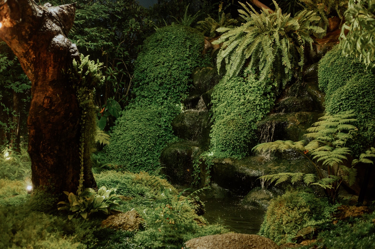 Rainforest Teaching Resources for KS2