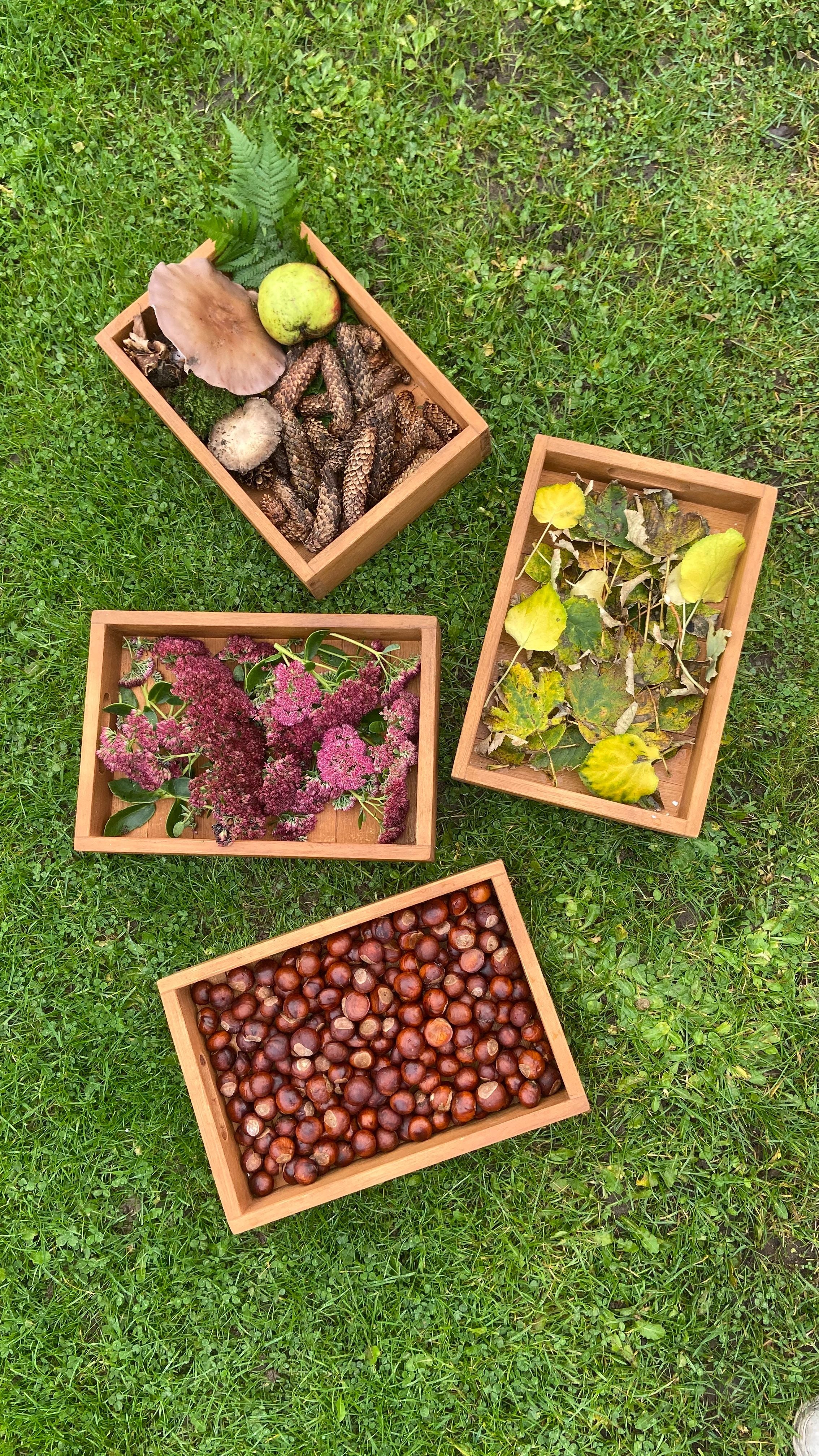 Outdoor Sorting Boxes 6pc