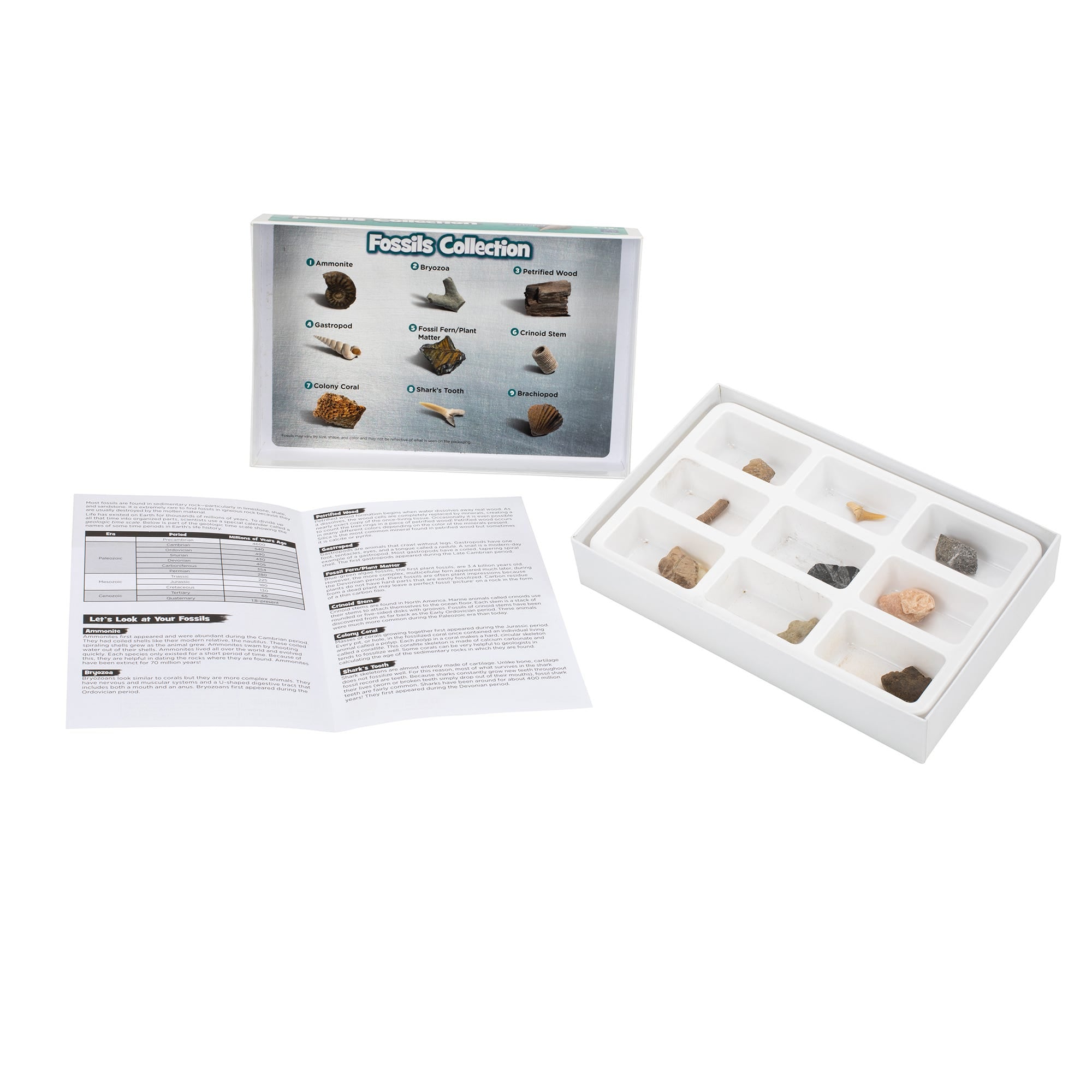 Geosafari Fossils Collection pk 9