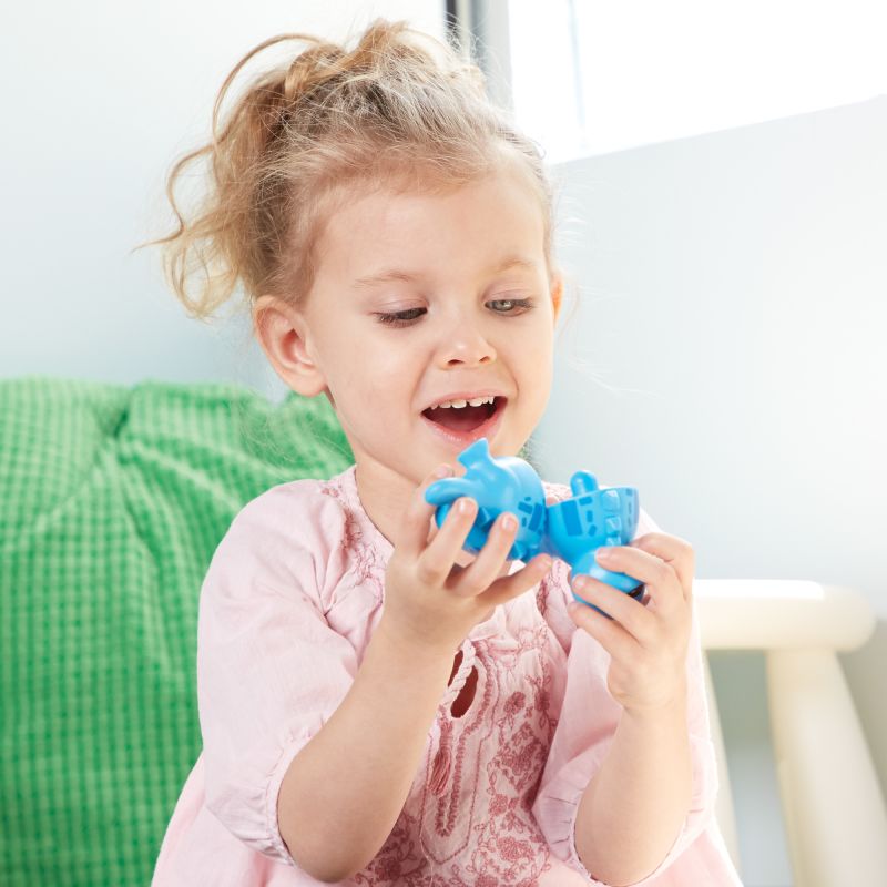 Snap-n-Learn Matching Dinos