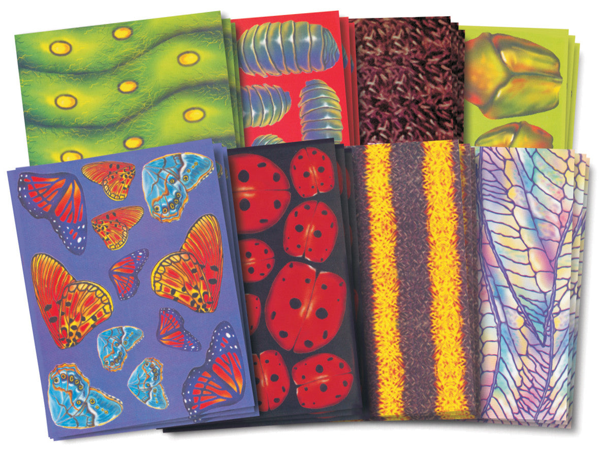 Bug Craft Paper pk 40