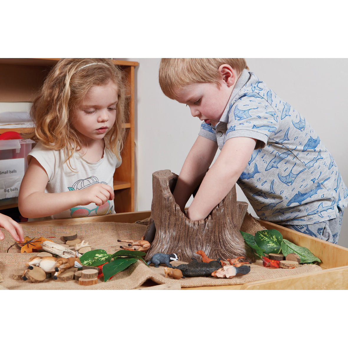 Small World Tree Stump