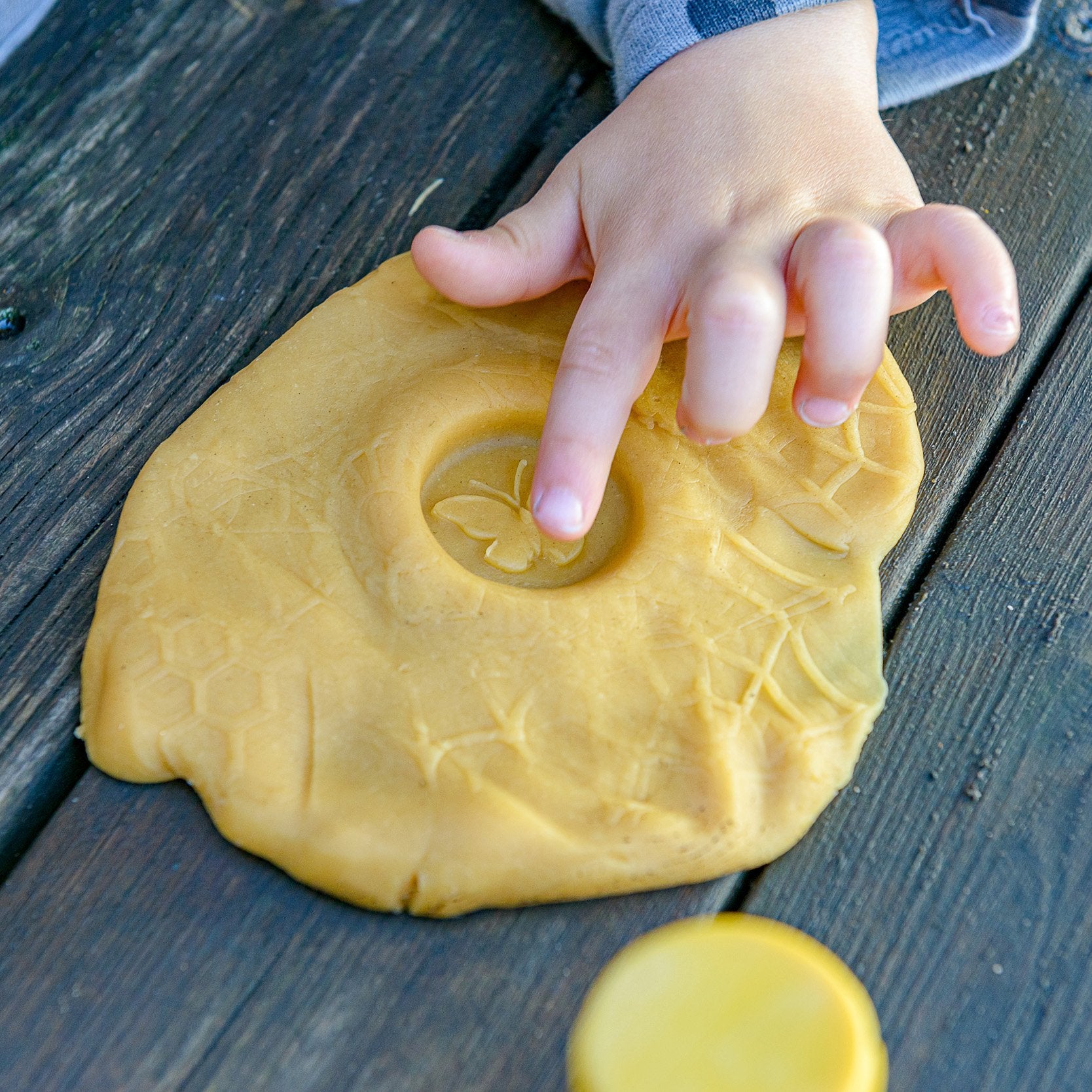 Let's Roll - Garden Bugs pk 6