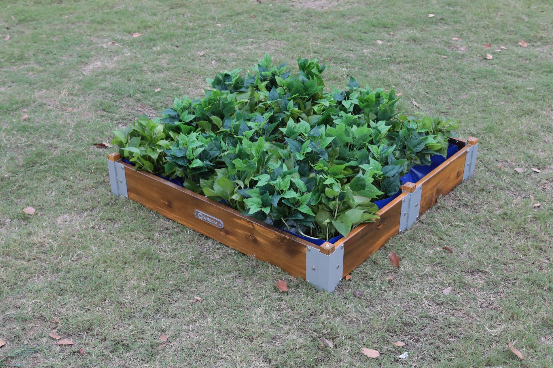 Little Garden Square Planter