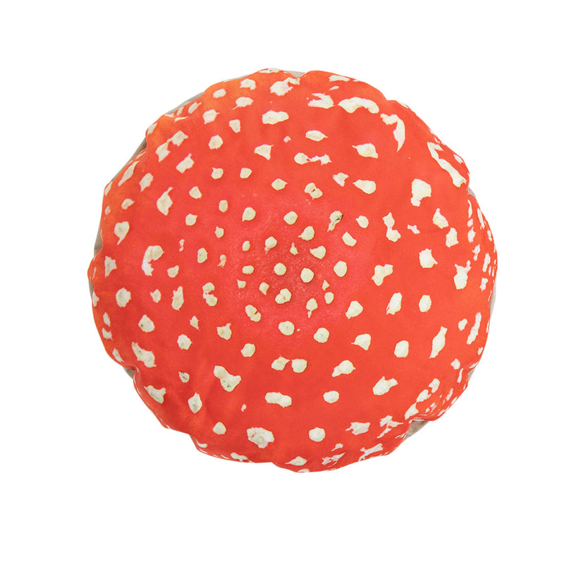 Learn About Nature Woodland Toad Stool pk 3