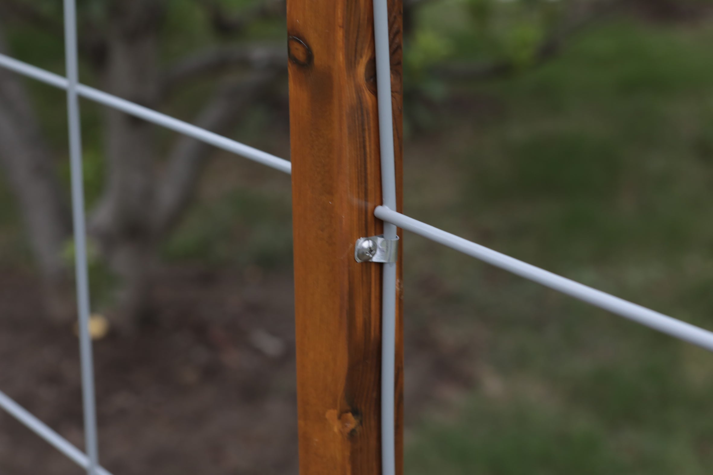 Little Garden Corner Fence