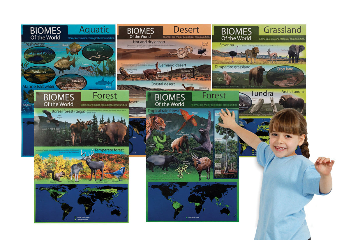 Biomes Bulletin Boards Set