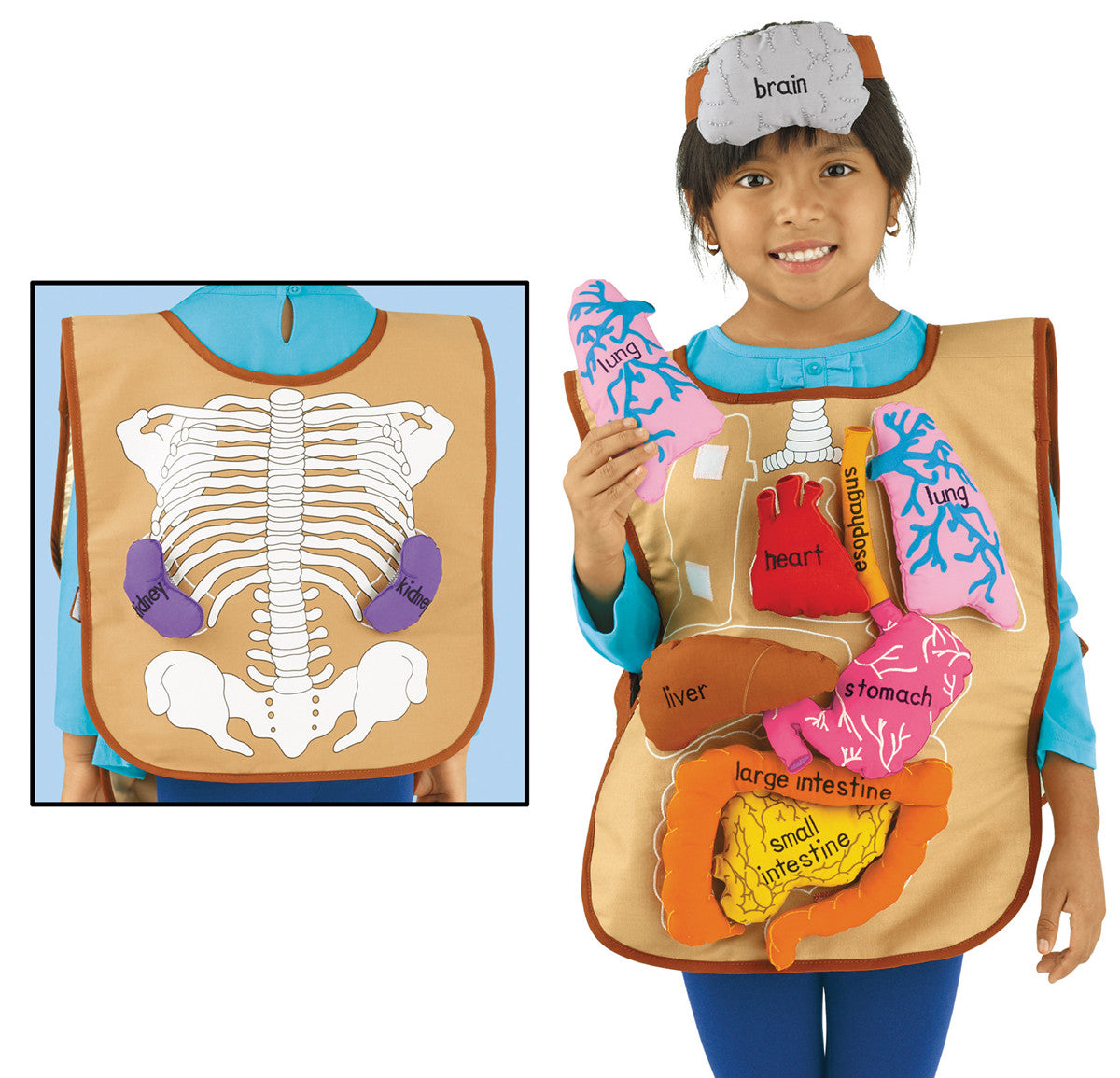 What's Inside Me Apron