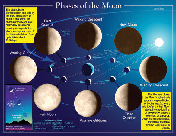 Phases of the Moon Poster