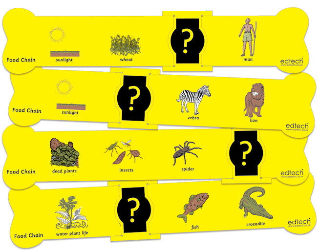 Food Chain Bones pk 20