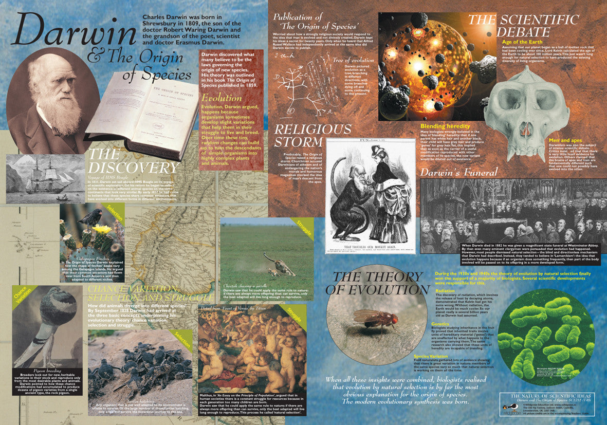 Darwin and the Origin of Species Poster - Main Image