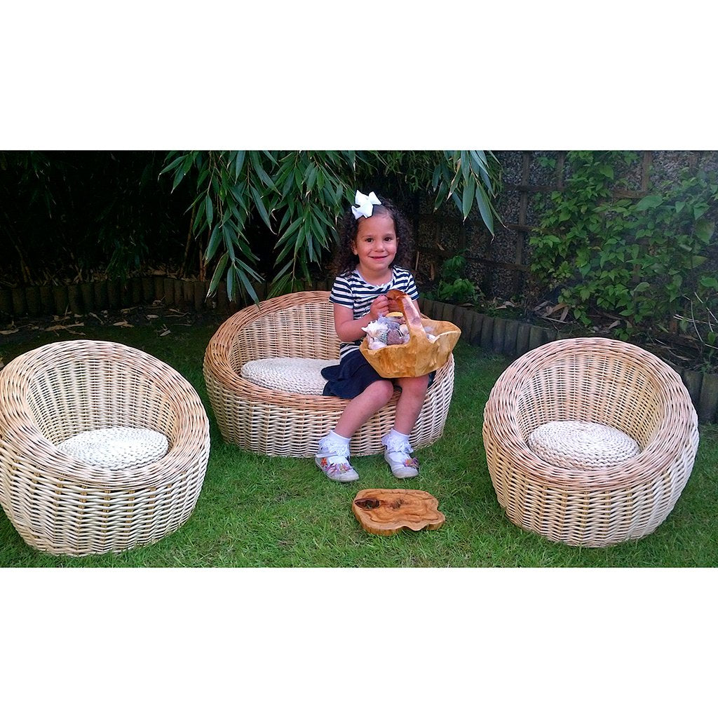 Willow Couch and Chair Set