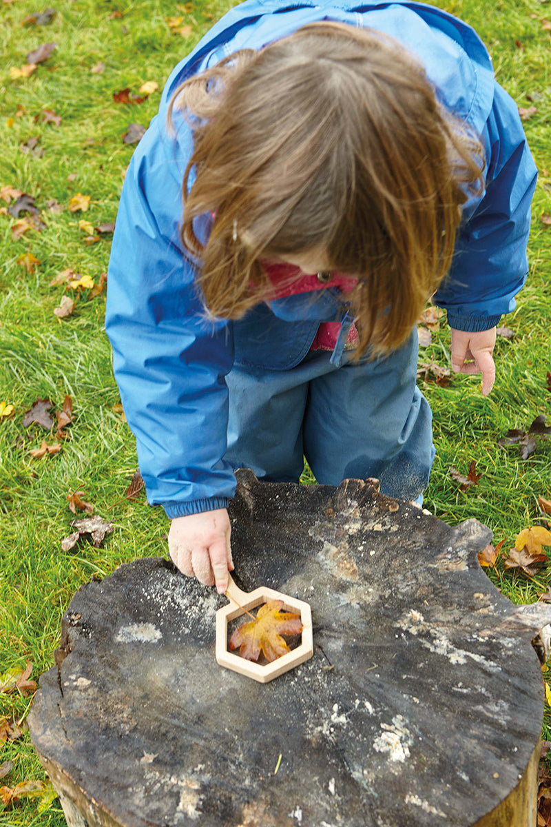 Natural Shape Viewers pk 5