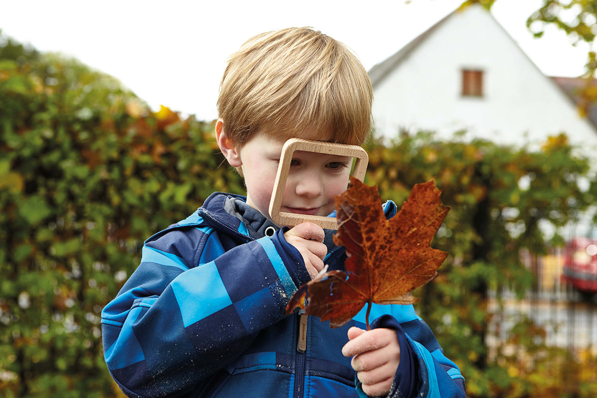 Natural Shape Viewers pk 5