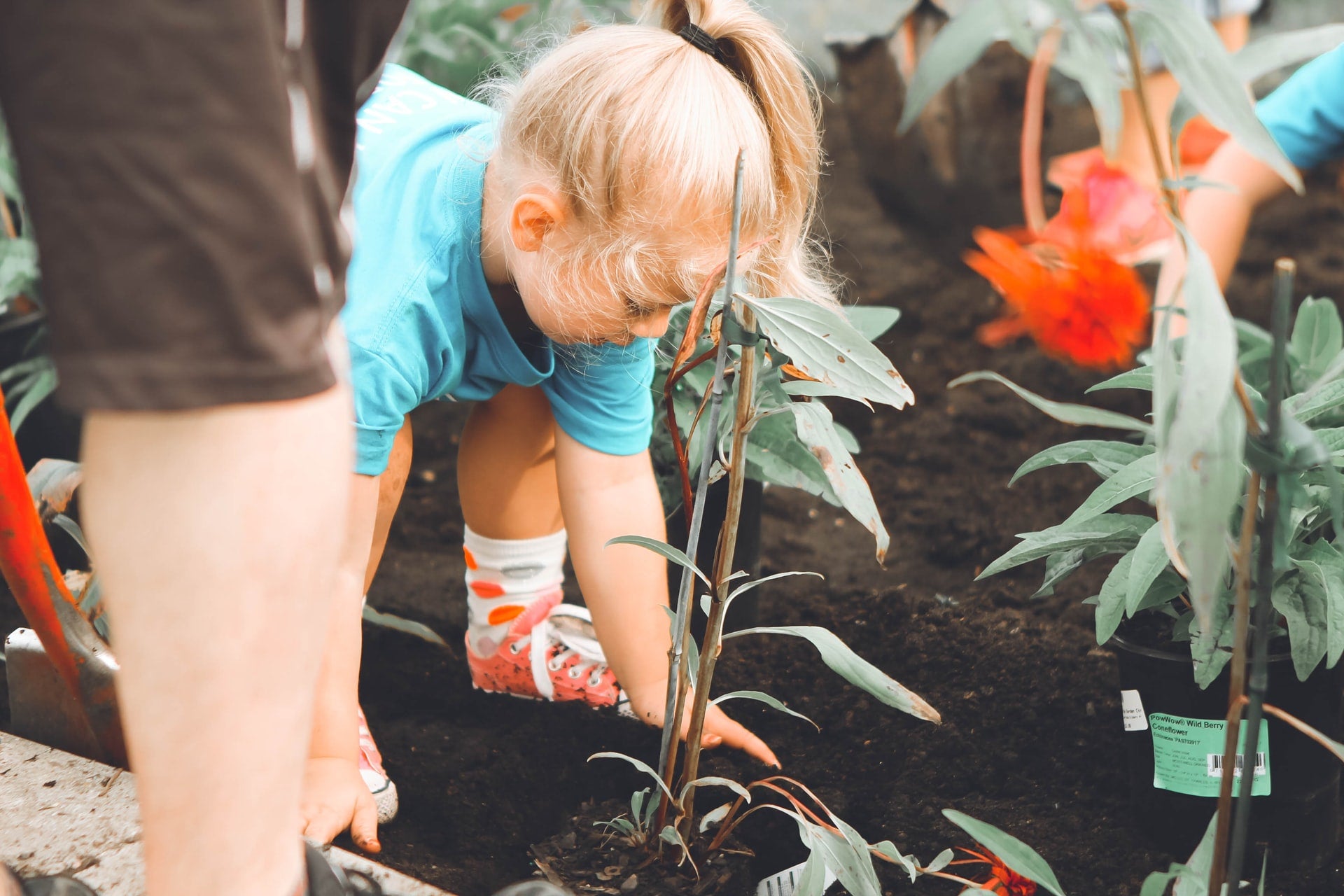 Biology Teaching Resources and Experiments for Primary School