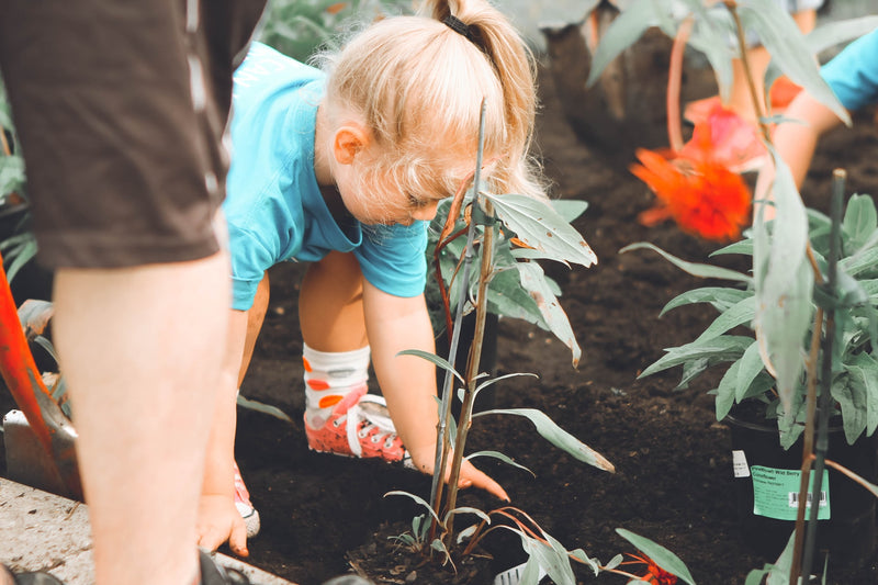 Biology Teaching Resources and Experiments for Primary School