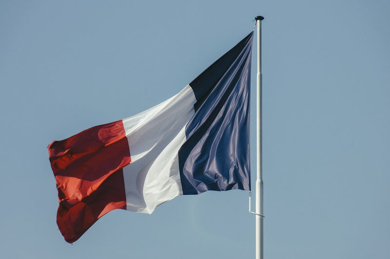8 Free French Teaching Resources