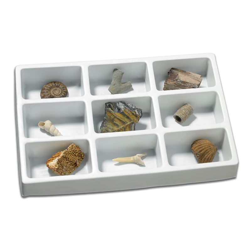 Geosafari Fossils Collection pk 9