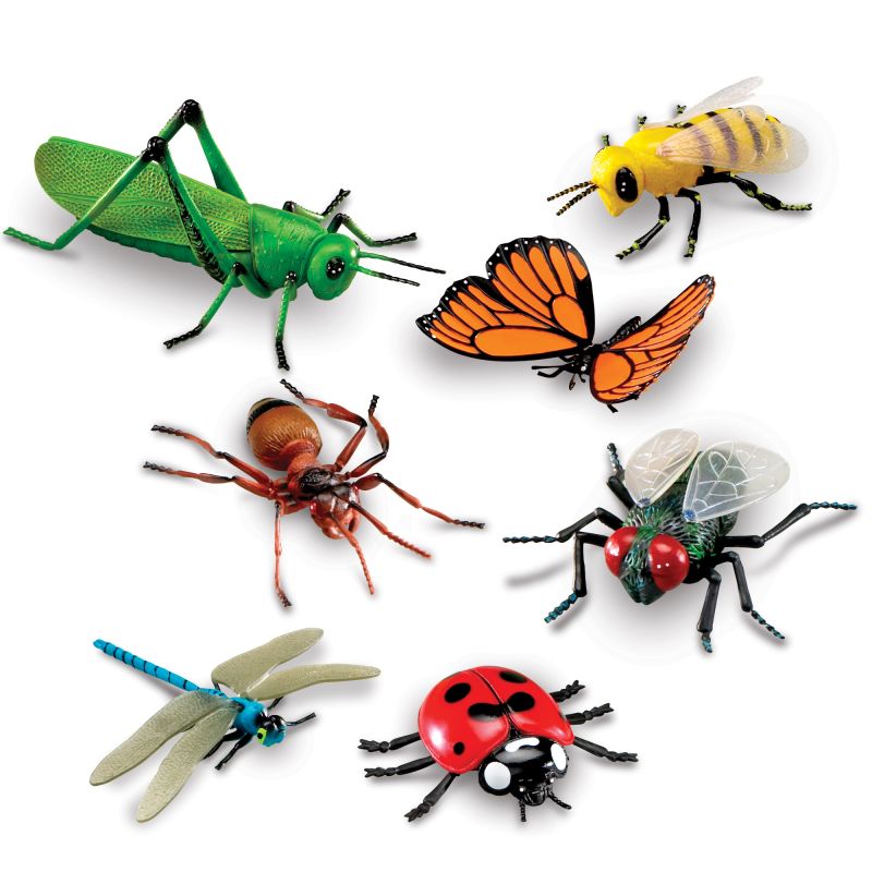 Jumbo Insects pk 7