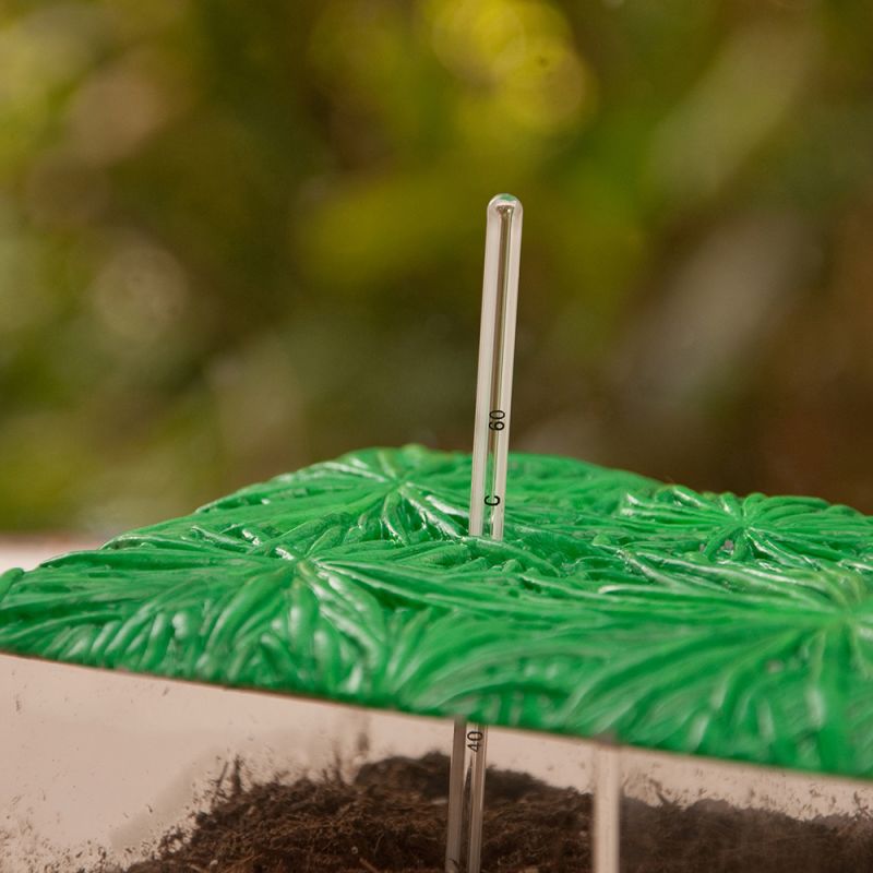 See-Through Compost Container