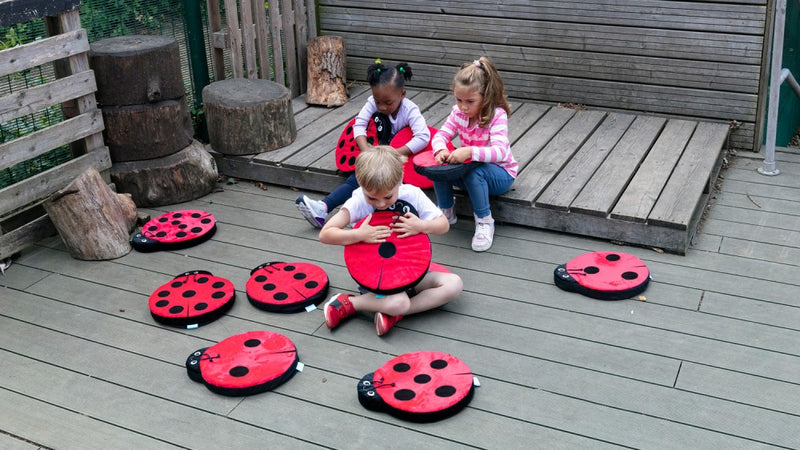 Back to Nature Ladybirds Story Cushions pk 13