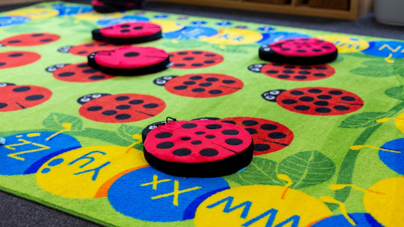 Back to Nature Ladybirds Story Cushions pk 13