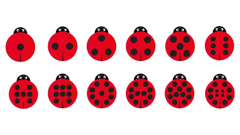 Back to Nature Ladybirds Story Cushions pk 13