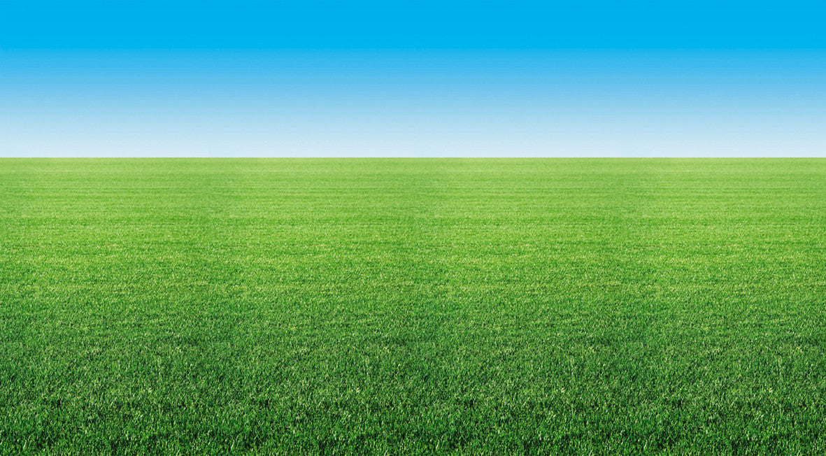 Fadeless Extra Wide Roll - Summer Horizon