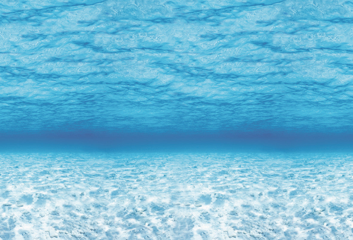 Fadeless Extra Wide Roll - Under the Sea
