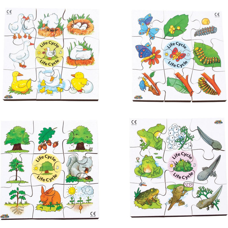 Lifecycles-Jigsaw-Set-pk-4