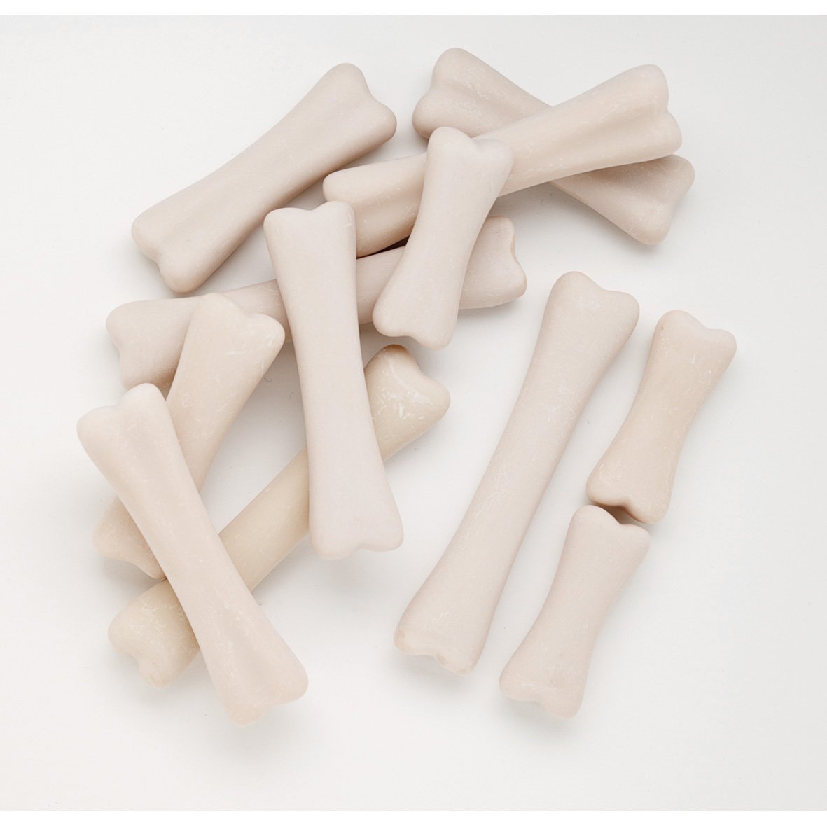 Dinosaur Bones Match and Measure pk 16