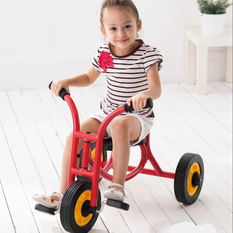 WePlay Small Trike 