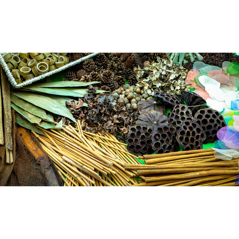 Botanical Treasure Basket 