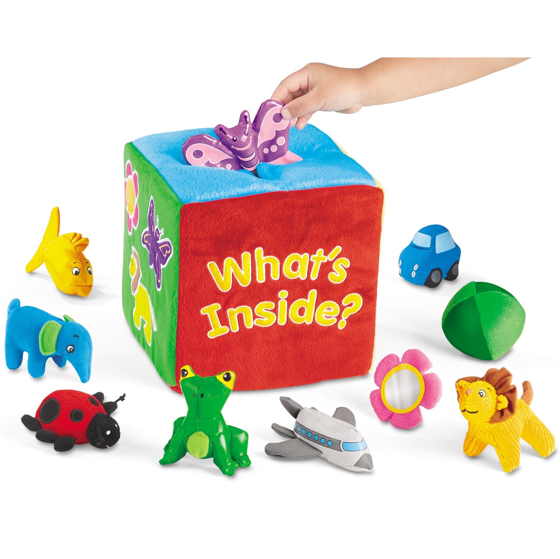 What's Inside Feely Box 