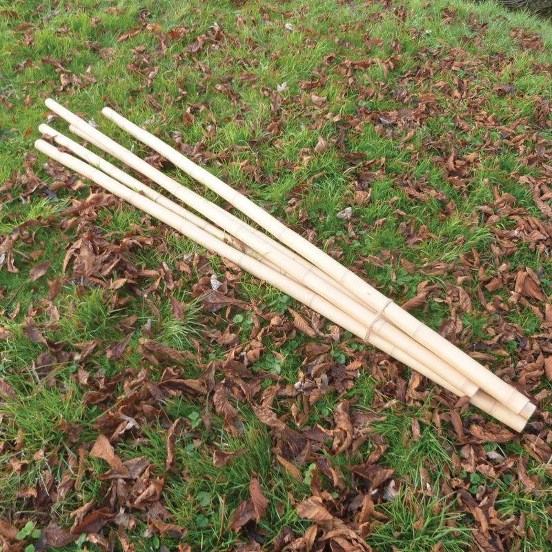 Natural-Bamboo-Sticks-pk-5