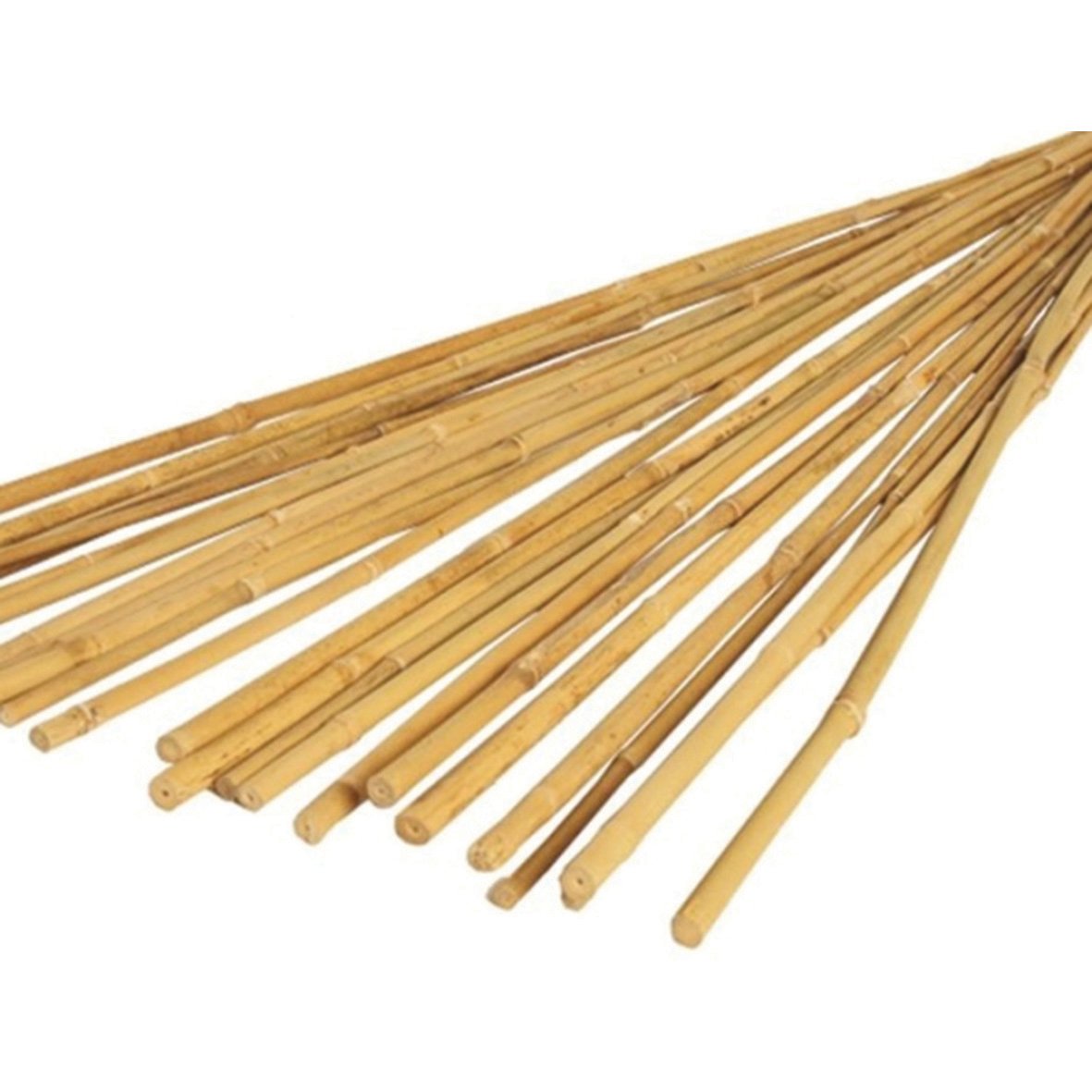 Bamboo Canes pk 20